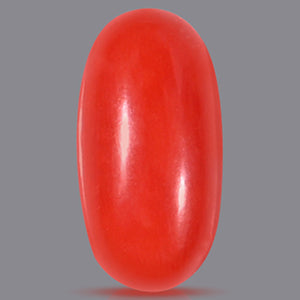 Red Italian Coral - 5.95 Carats