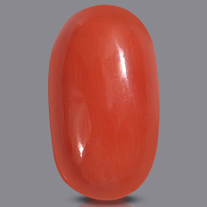 Red Italian Coral - 6.15 Carats