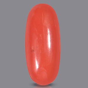 Red Italian Coral - 6.30 Carats
