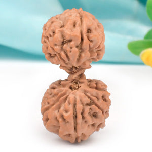 Collector Gauri Shankar 10 Mukhi from java