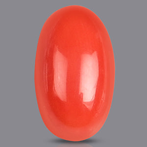 Red Italian Coral Stone - 5.45 Carats