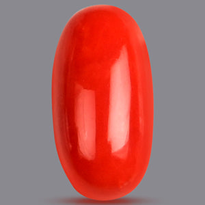Red Italian Coral Stone - 5.90 Carat