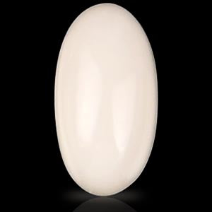 White Coral - 4.20 Carats