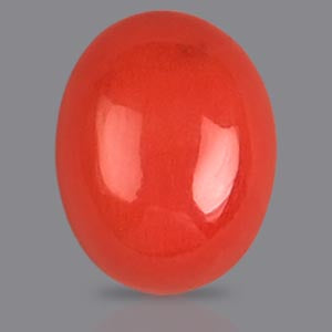 Red Italian Coral - 4.25 Carats
