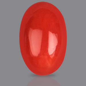 Red Italian Coral Stone - 4.30 Carats