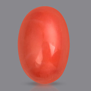 Red Italian Coral - 9.85 Carats