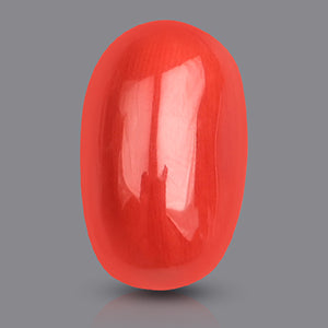 Red Italian Coral - 22.05 Carats