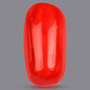 Red Italian Coral Gemstone - 6.10 Carats