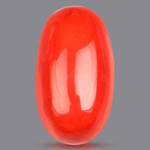 Red Italian Coral Gemstone - 11.05 Carats