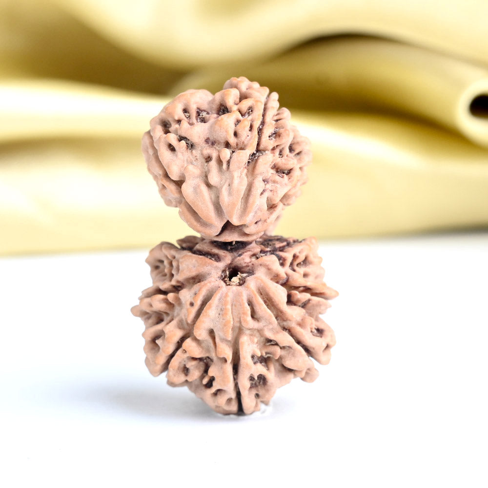 Garbh Gauri 10 mukhi from Nepal Large