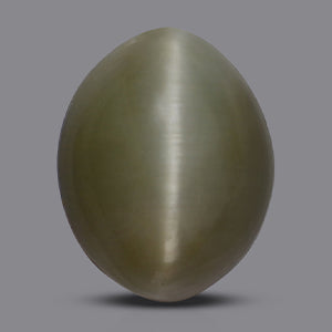 Cats Eye Orissa Bihar - 7.15 Carats