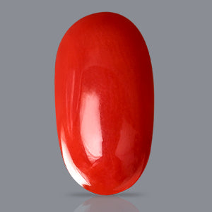 Red Italian Coral Gemstone - 4.05 Carats
