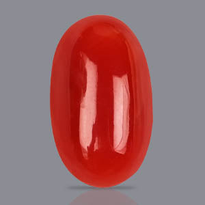 Red Coral (Japanese) - 8.60 Carats