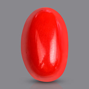 Red Italian Coral - 2.90 Carat