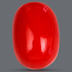 Red Italian Coral - 2.90 Carats