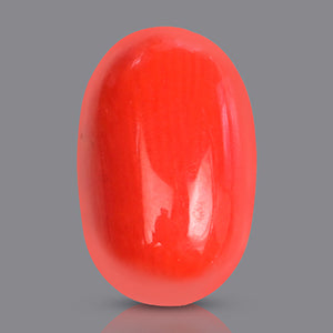 Red Italian Coral - 2.95 Carat