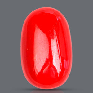 Red Italian Coral - 2.95 Carats