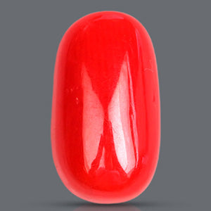 Red Italian Coral - 3 Carats