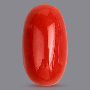 Red Italian Coral Stone - 3.05 Carats