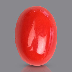 Red Italian Coral - 3.05 Carat