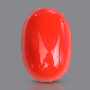 Red Italian Coral - 3.05 Carats