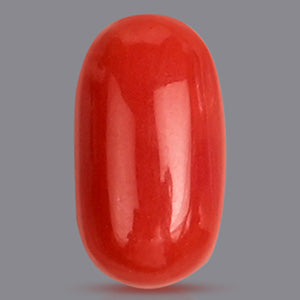 Red Coral Italian - 3.10 Carats