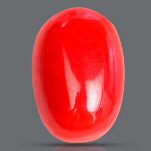 Red Italian Coral Stone - 3.10 Carat