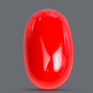 Red Italian Coral - 3.15 Carat
