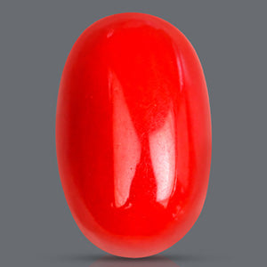 Red Italian Coral - 3.15 Carats