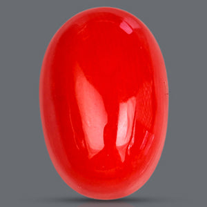 Red Italian Coral - 3.20 Carat