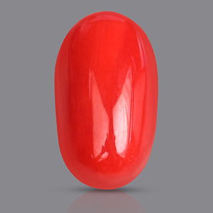 Red Italian Coral - 3.25 Carats