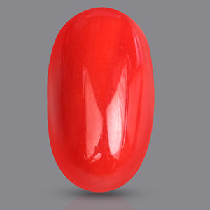 Red Italian Coral - 3.30 Carats