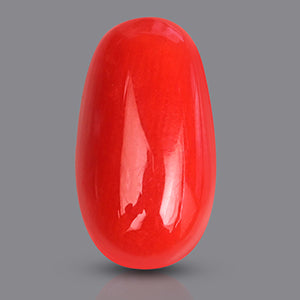 Red Italian Coral - 3.40 Carat