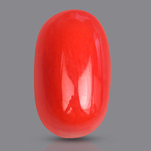 Red Italian Coral - 3.40 Carats
