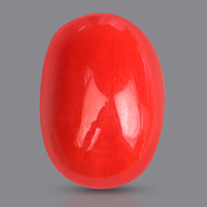 Red Italian Coral - 3.45 Carat