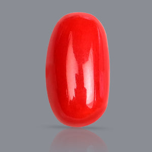Red Italian Coral Stone - 3.55 Carats