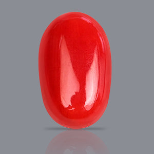 Red Italian Coral - 3.55 Carats
