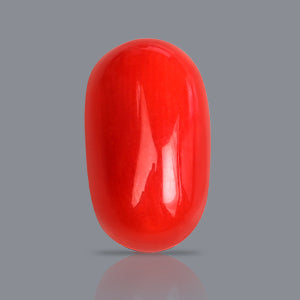 Red Italian Coral - 3.60 Carat