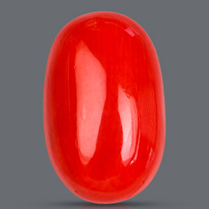 Red Italian Coral - 3.65 Carat