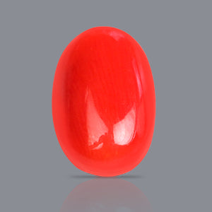 Red Italian Coral - 3.65 Carats