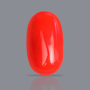 Red Italian Coral - 3.70 Carat