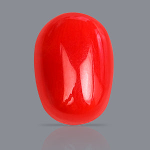 Red Italian Coral - 3.70 Carats
