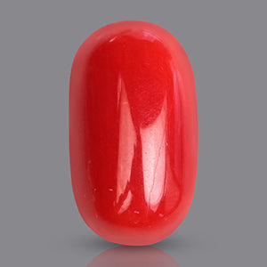 Red Italian Coral Stone - 3.75 Carats