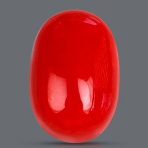 Red Italian Coral - 3.90 Carats