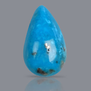 Turquoise - 25.05 Carats
