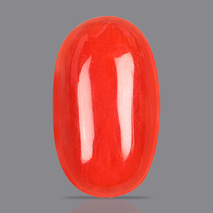 Red Italian Coral - 4.10 Carat