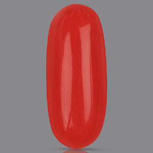 Red Italian Coral - 4.70 Carats
