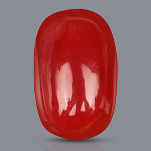 Red Italian Coral Stone - 3.30 Carats