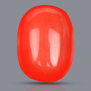 Red Italian Coral Gemstone - 3.75 Carats