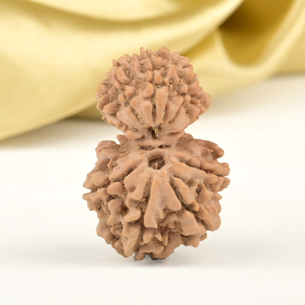 Garbh Gauri 9 Mukhi from Nepal